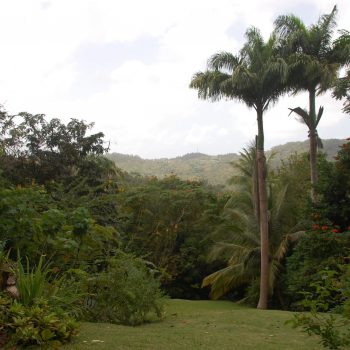 Barbados Villas