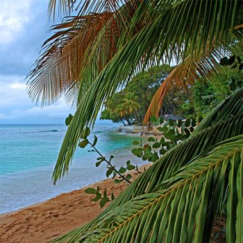 Sandy Lane Beach