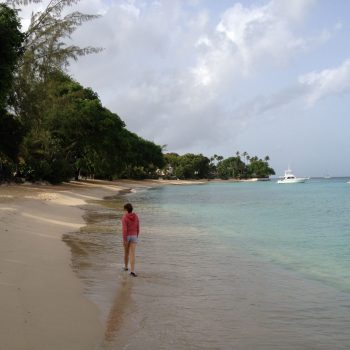 Barbados Villas